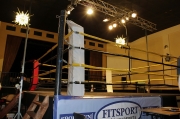 Mezinárodní turnaj v boxu 2013 